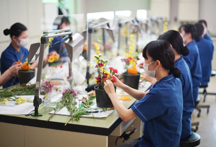 東邦歯科医療専門学校画像