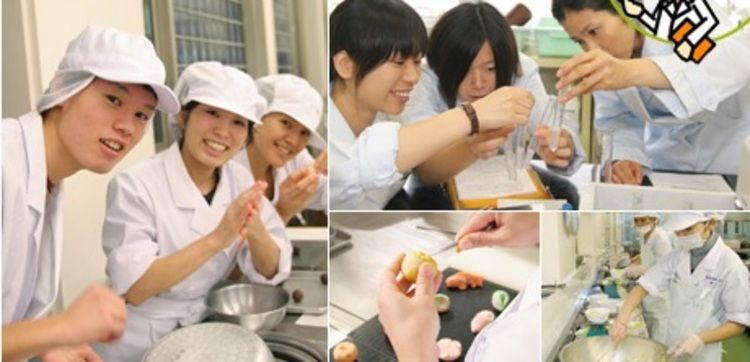 横浜栄養専門学校画像