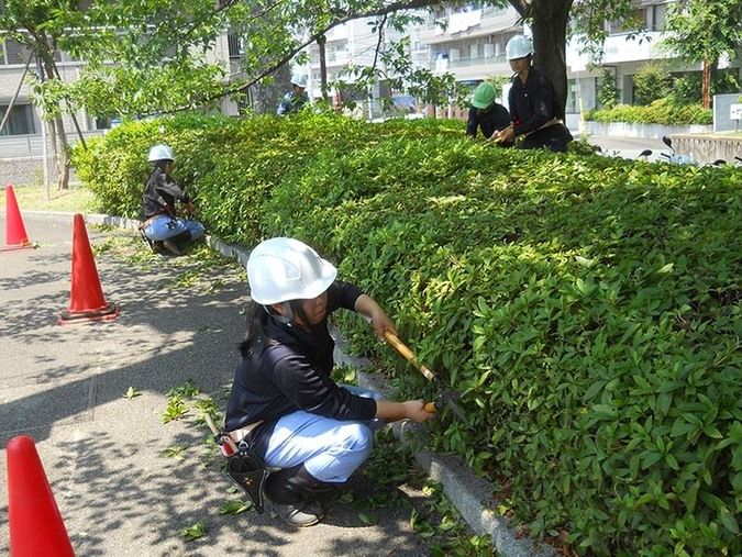 日本ガーデンデザイン専門学校