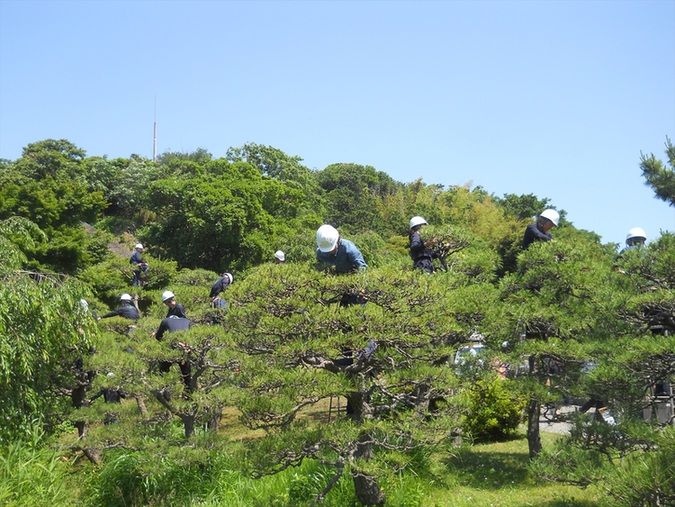 日本ガーデンデザイン専門学校