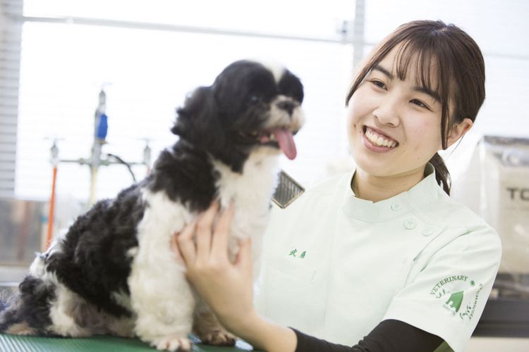 湘央生命科学技術専門学校画像