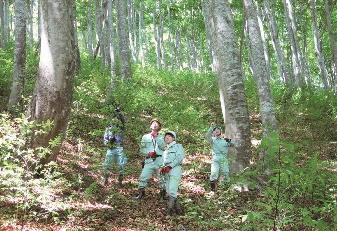 日本自然環境専門学校