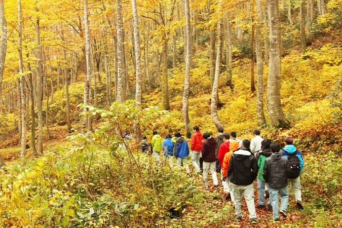 日本自然環境専門学校