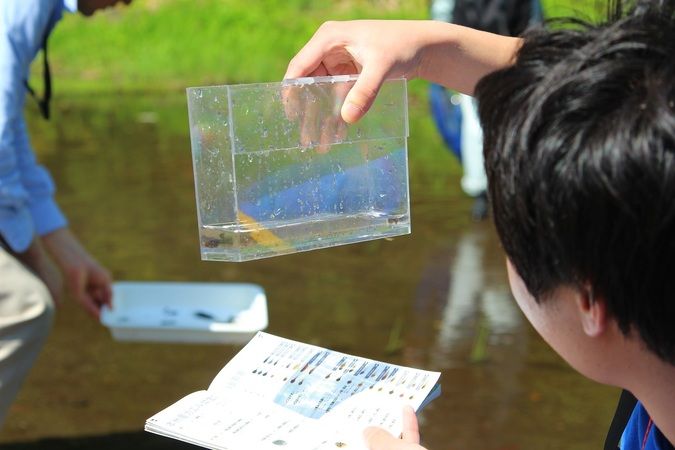 日本自然環境専門学校