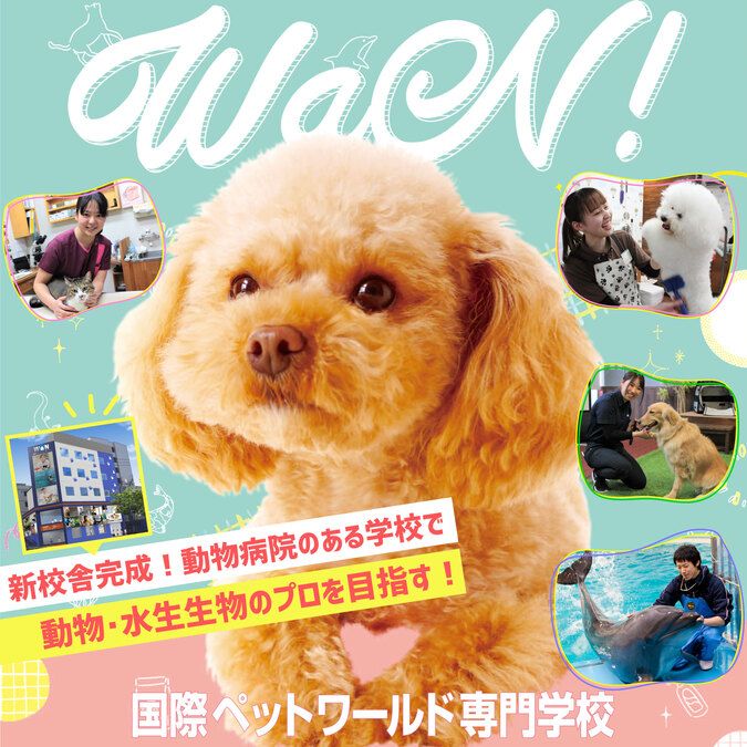 国際ペットワールド専門学校
