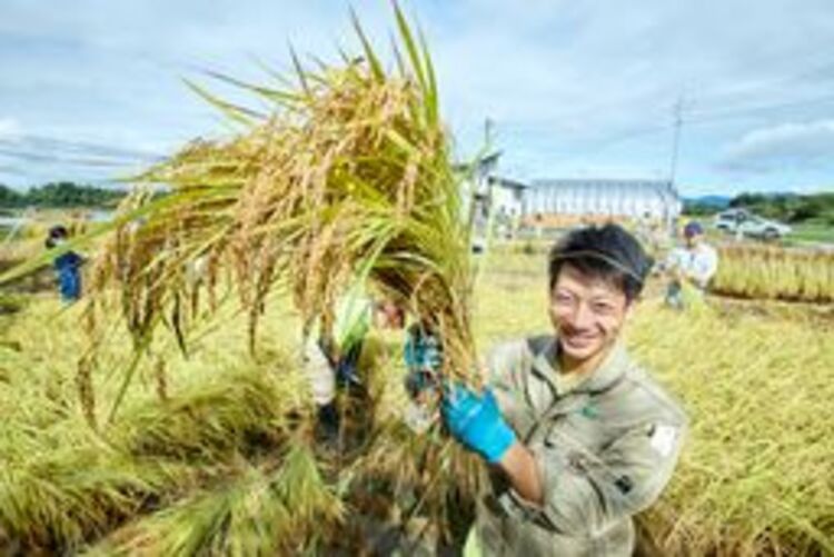 新潟農業 バイオ専門学校の情報満載 口コミ 就職など みんなの専門学校情報