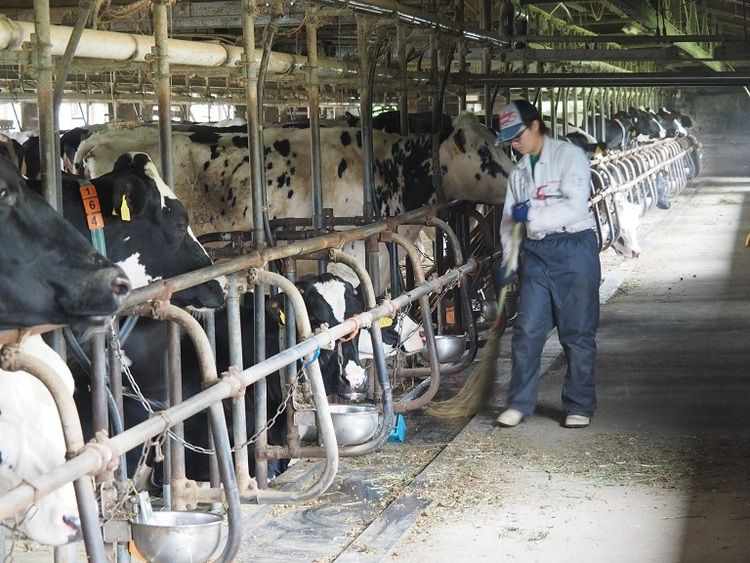 八ヶ岳中央農業実践大学校画像