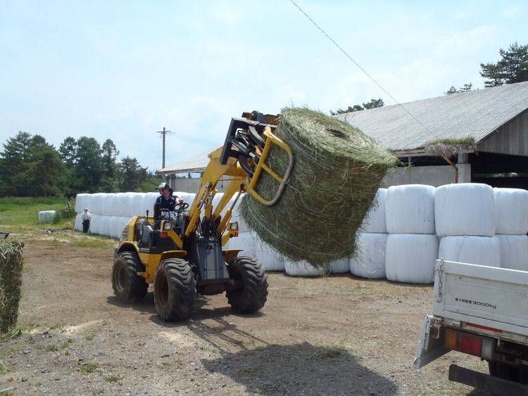 八ヶ岳中央農業実践大学校画像