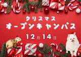 【浜松校】1･2年生向け☆クリスマスオープンキャンパス☆（動物看護師科）