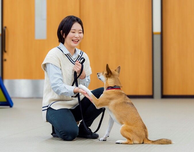 専門学校ルネサンス・ペット・アカデミー