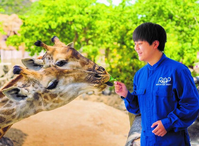 専門学校ルネサンス・ペット・アカデミー