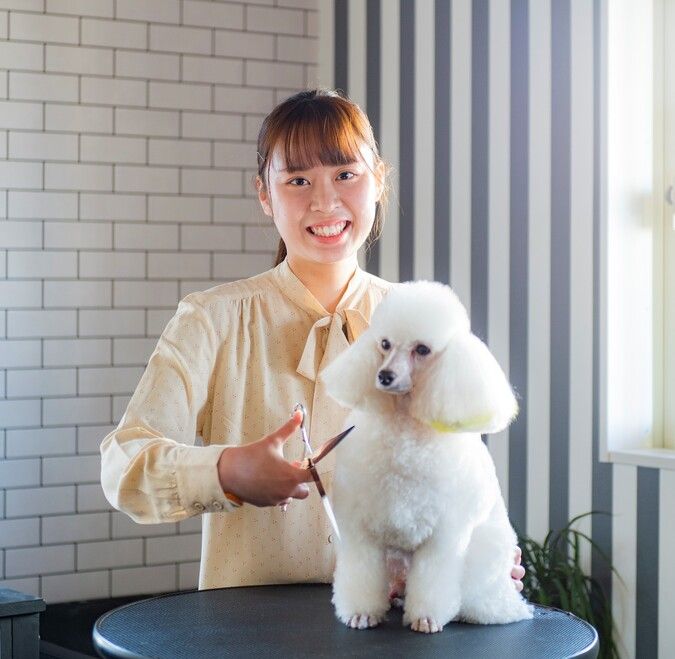 専門学校ルネサンス・ペット・アカデミー