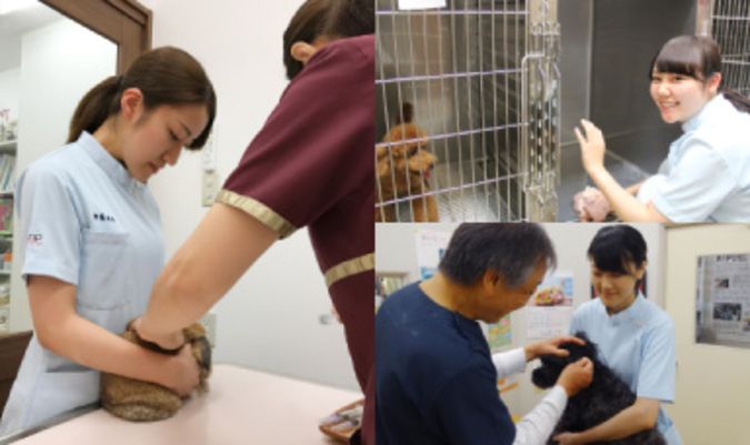 専門学校ルネサンス・ペット・アカデミー