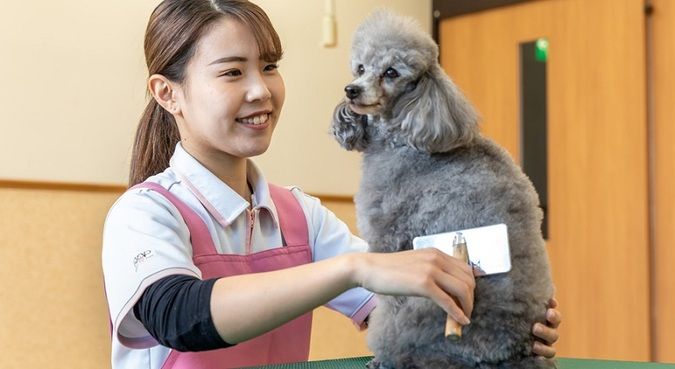 専門学校ルネサンス・ペット・アカデミー