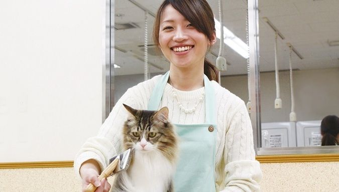 専門学校ルネサンス・ペット・アカデミー