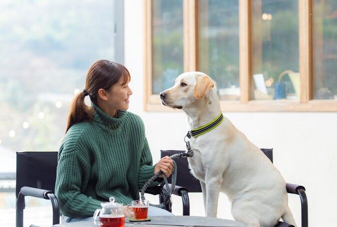 専門学校ルネサンス・ペット・アカデミー