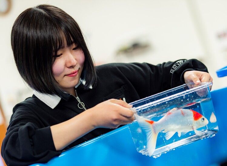 専門学校ルネサンス・ペット・アカデミー画像