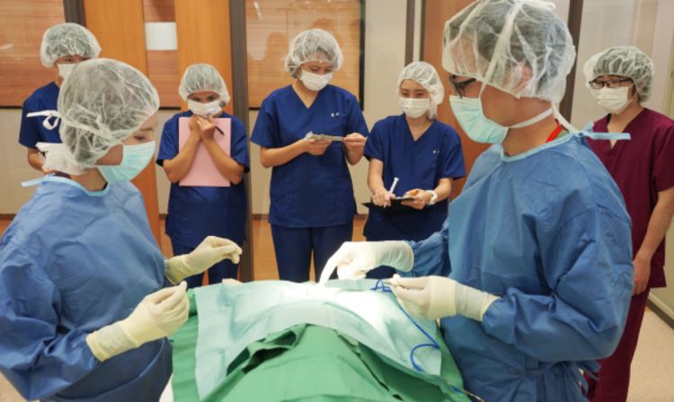 専門学校ルネサンス・ペット・アカデミー画像