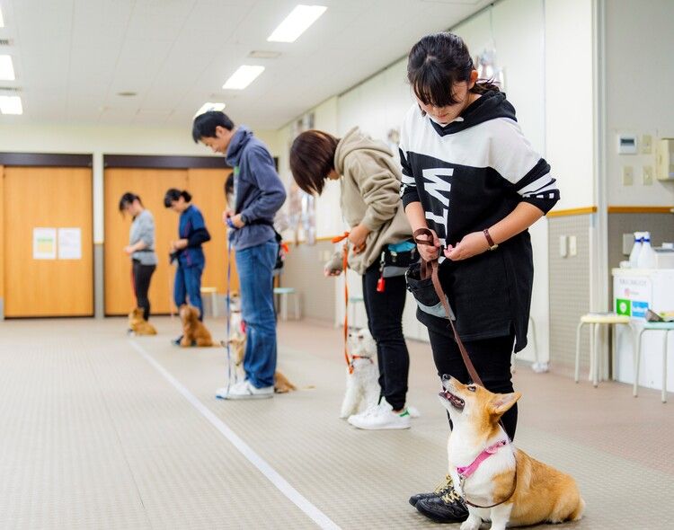 専門学校 ペット ストア 浜松