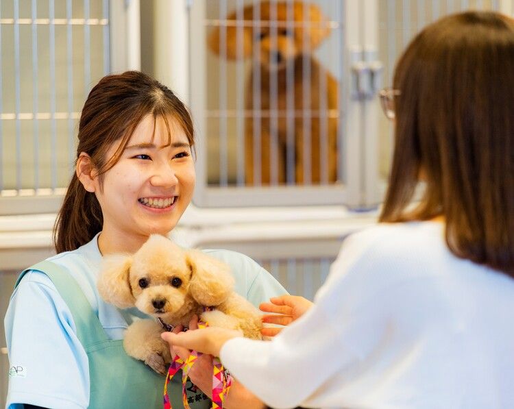 専門学校ルネサンス・ペット・アカデミー画像