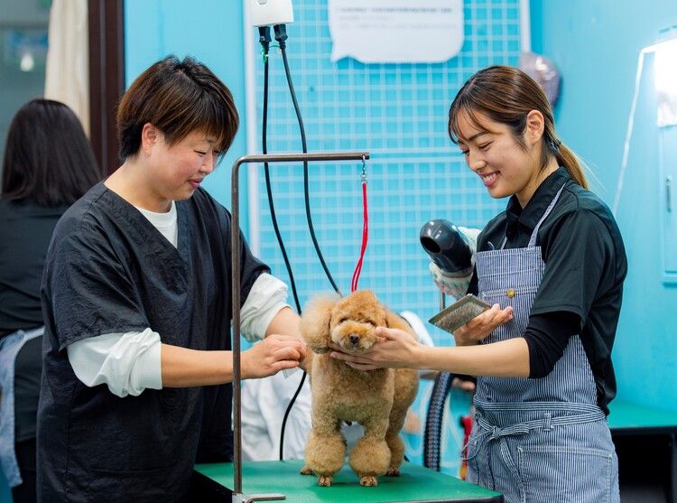 専門学校ルネサンス・ペット・アカデミー画像