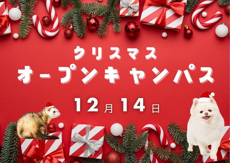 【浜松校】1･2年生向け☆クリスマスオープンキャンパス☆（動物海洋飼育・アクアリウム科【動物園系】）