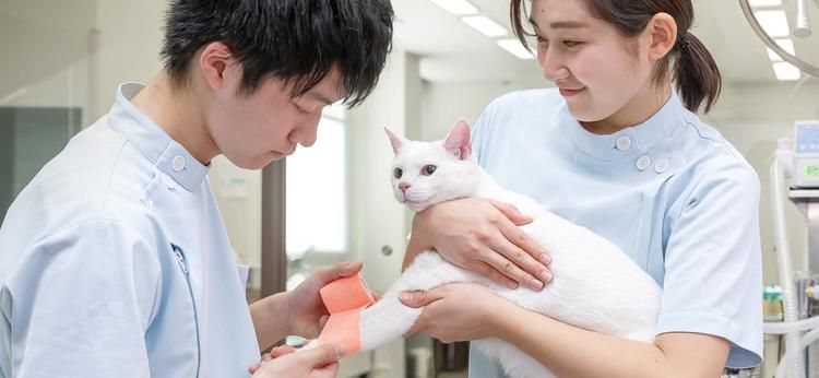 専門学校ルネサンス・ペット・アカデミー画像