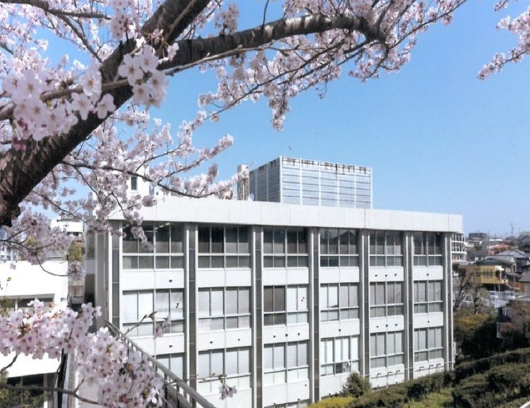 浜松歯科衛生士専門学校画像