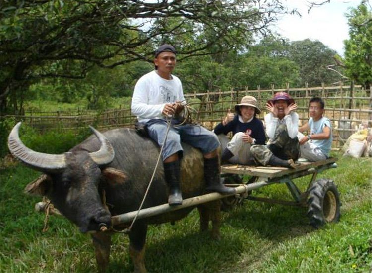 専門学校オイスカ・アグリ・カレッジ画像