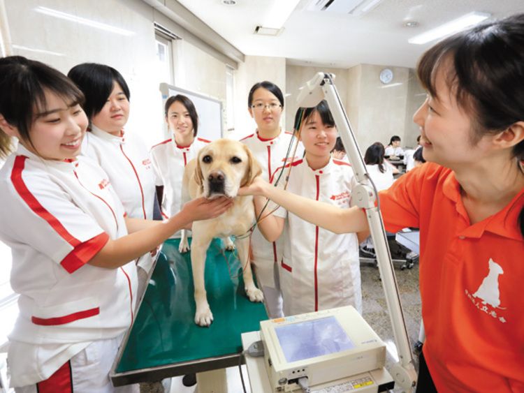 名古屋動物専門学校の情報満載 口コミ 就職など みんなの専門学校情報