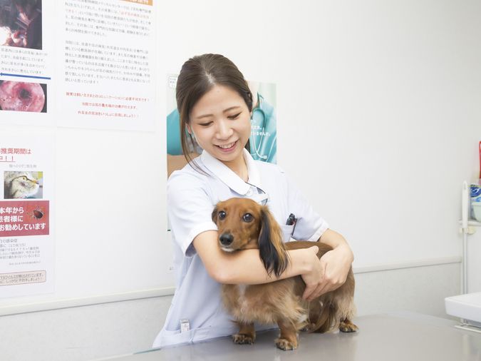 専門学校名古屋ビジネス・アカデミー