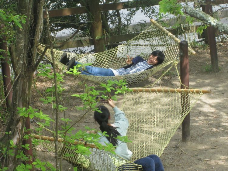 岡波看護専門学校画像