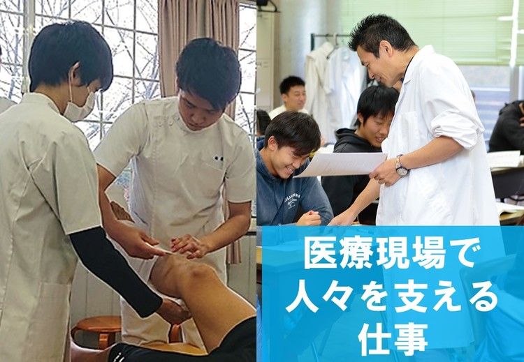 ルネス紅葉スポーツ柔整専門学校画像