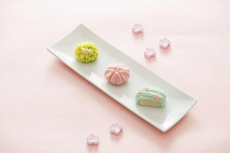 京都製菓製パン技術専門学校画像