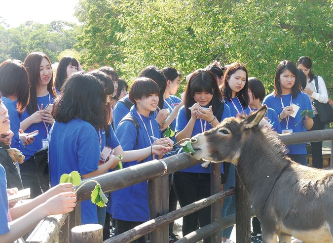 ＹＩＣ京都ペット総合専門学校