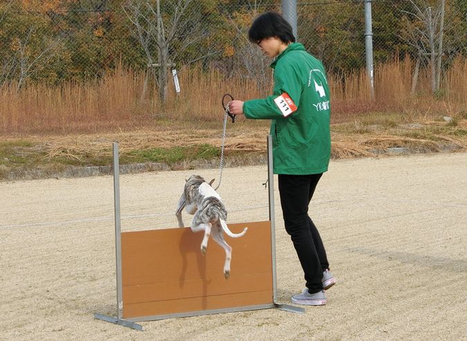 ＹＩＣ京都ペット総合専門学校
