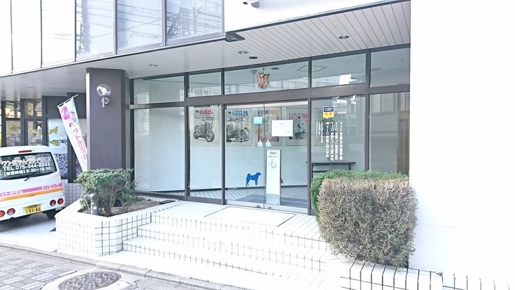 yic 京都 ペット 総合 専門 学校 ストア 評判