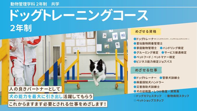 関西ペット総合学院 販売 学費