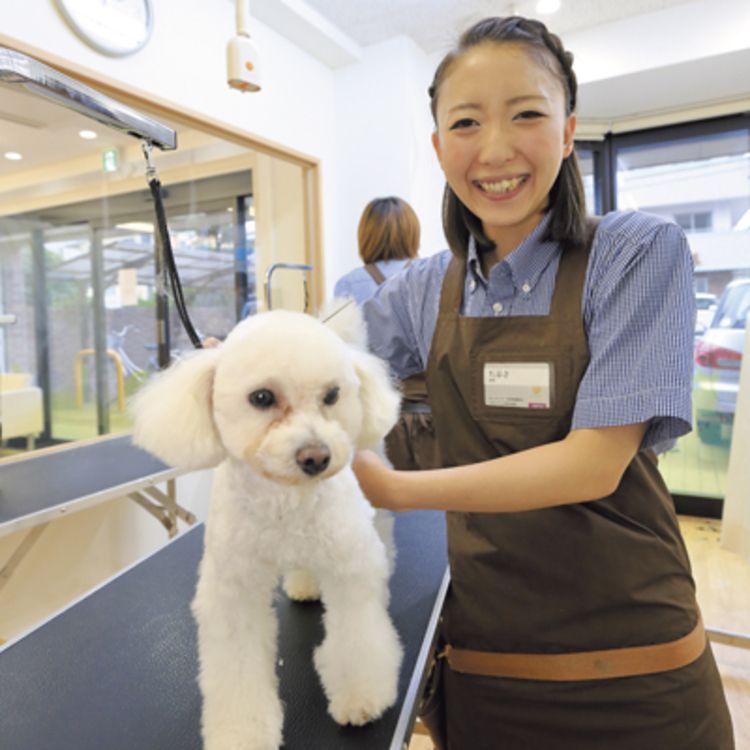 大阪動物専門学校の情報満載 口コミ 就職など みんなの専門学校情報