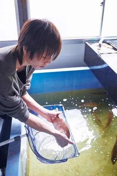 大阪動植物海洋専門学校の情報満載 口コミ 就職など みんなの専門学校情報