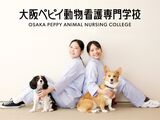 大阪ペピイ動物看護専門学校