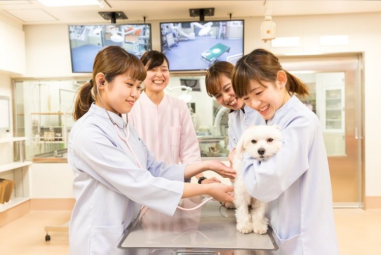 大阪ペピイ動物看護専門学校の情報満載 口コミ 就職など みんなの専門学校情報