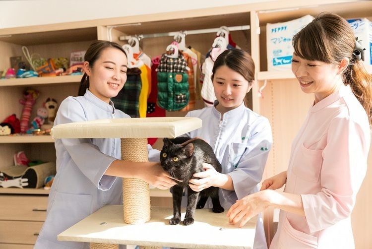 大阪ペピイ動物看護専門学校の情報満載 口コミ 就職など みんなの専門学校情報