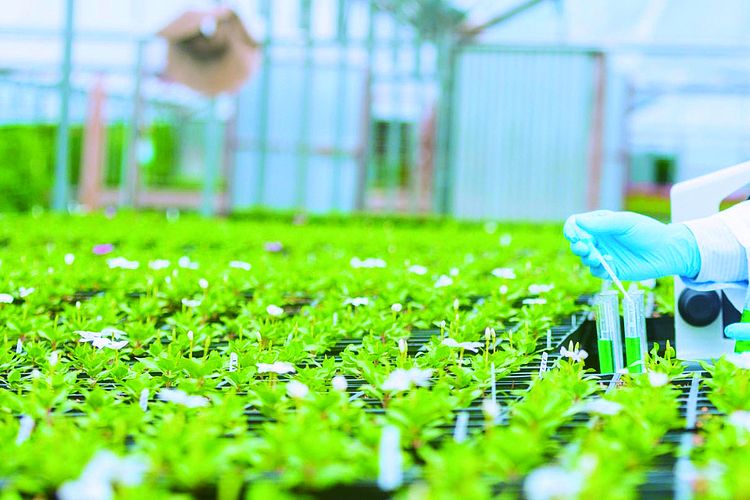 岡山科学技術専門学校画像