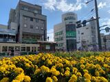 広島国際医療福祉専門学校