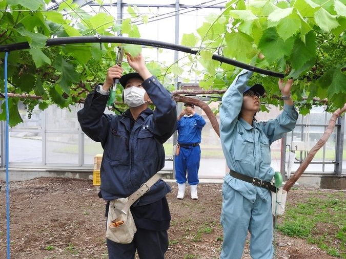 山口県立農業大学校