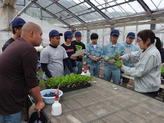 山口県立農業大学校