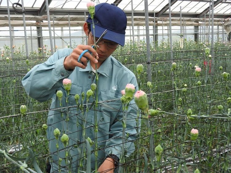 山口県立農業大学校画像