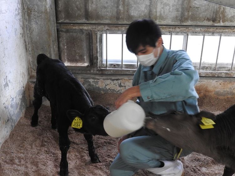 山口県立農業大学校画像