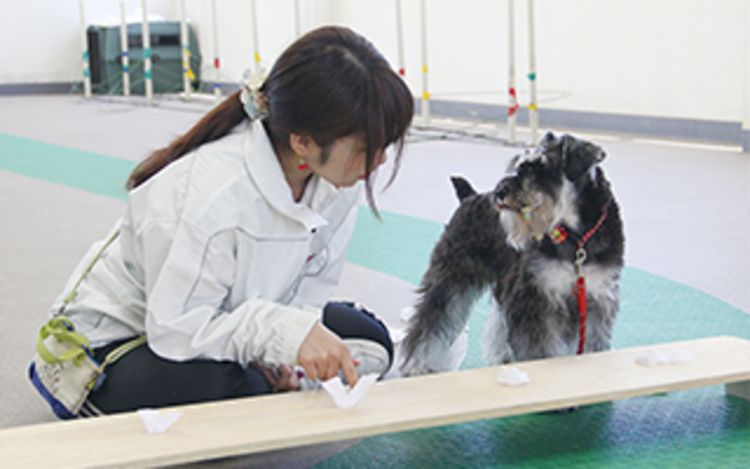 動物 専門学校 口コミランキング 21年度最新版 みんなの専門学校情報